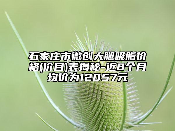 石家庄市微创大腿吸脂价格(价目)表揭秘-近8个月均价为12057元