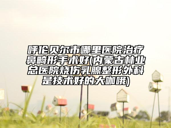 呼伦贝尔市哪里医院治疗鼻畸形手术好(内蒙古林业总医院烧伤乳腺整形外科是技术好的大咖哦)