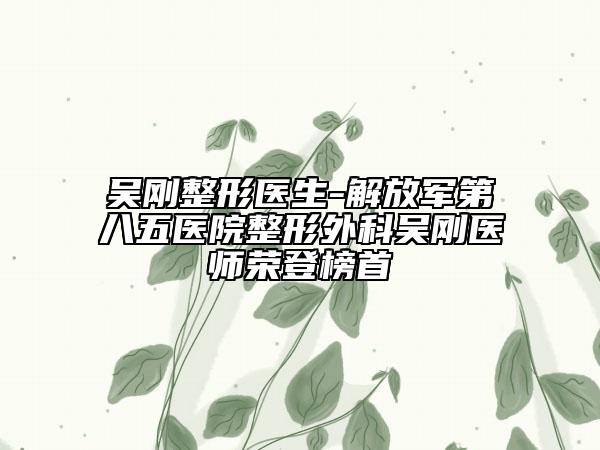吴刚整形医生-解放军第八五医院整形外科吴刚医师荣登榜首