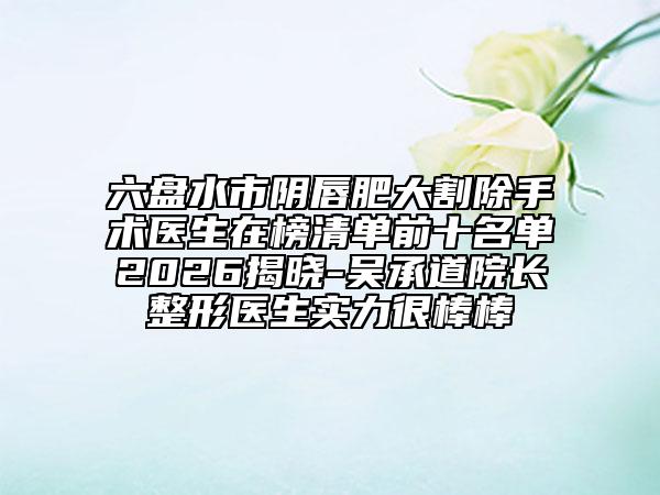 六盘水市阴唇肥大割除手术医生在榜清单前十名单2026揭晓-吴承道院长整形医生实力很棒棒