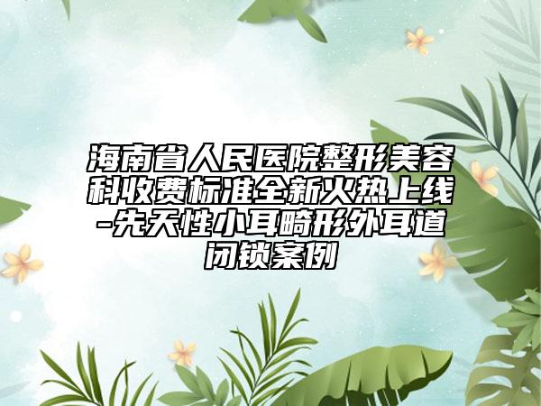 海南省人民医院整形美容科收费标准全新火热上线-先天性小耳畸形外耳道闭锁案例