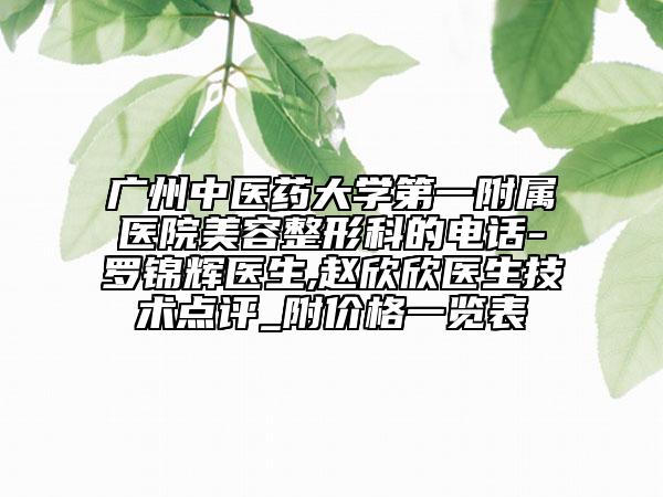 广州中医药大学第一附属医院美容整形科的电话-罗锦辉医生,赵欣欣医生技术点评_附价格一览表