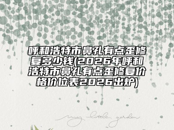 呼和浩特市鼻孔有点歪修复多少钱(2026年呼和浩特市鼻孔有点歪修复价格价位表2026出炉)