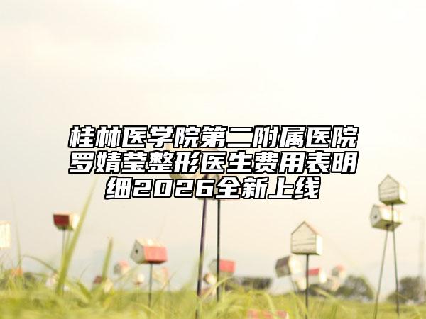 桂林医学院第二附属医院罗婧莹整形医生费用表明细2026全新上线