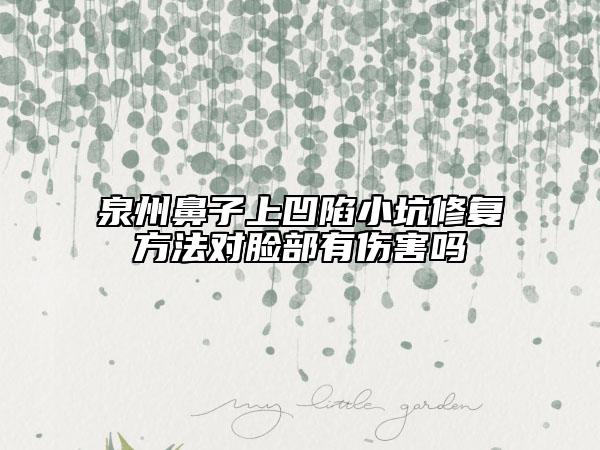 泉州鼻子上凹陷小坑修复方法对脸部有伤害吗