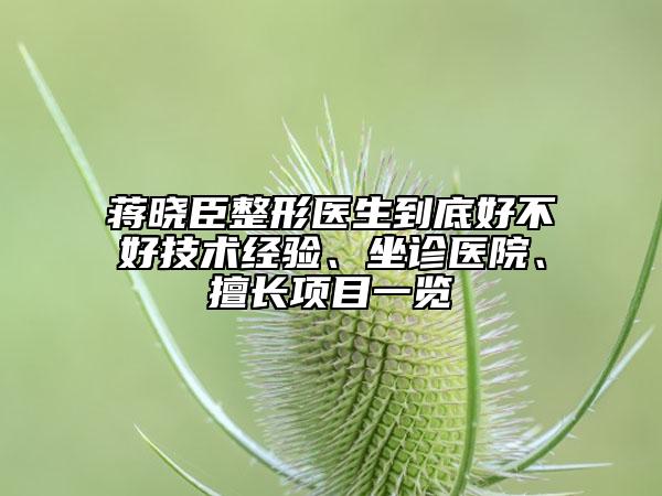 蒋晓臣整形医生到底好不好技术经验、坐诊医院、擅长项目一览