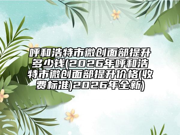 呼和浩特市微创面部提升多少钱(2026年呼和浩特市微创面部提升价格(收费标准)2026年全新)