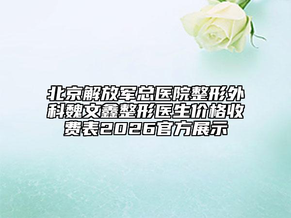 北京解放军总医院整形外科魏文鑫整形医生价格收费表2026官方展示