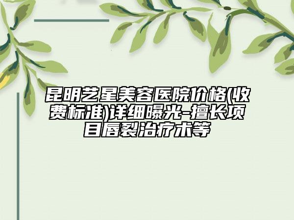 昆明艺星美容医院价格(收费标准)详细曝光-擅长项目唇裂治疗术等