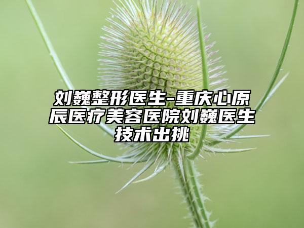 刘巍整形医生-重庆心原辰医疗美容医院刘巍医生技术出挑