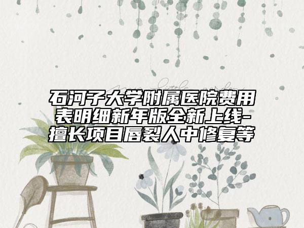 石河子大学附属医院费用表明细新年版全新上线-擅长项目唇裂人中修复等