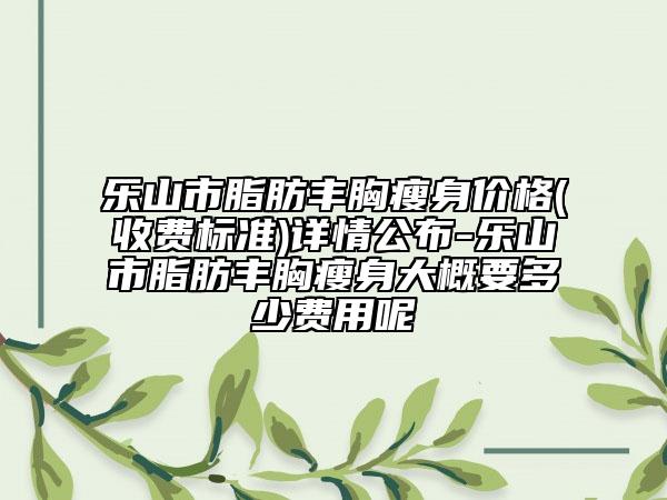 乐山市脂肪丰胸瘦身价格(收费标准)详情公布-乐山市脂肪丰胸瘦身大概要多少费用呢