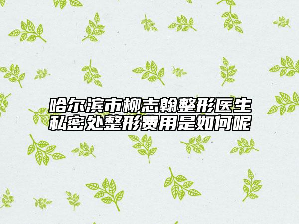 哈尔滨市柳志翰整形医生私密处整形费用是如何呢