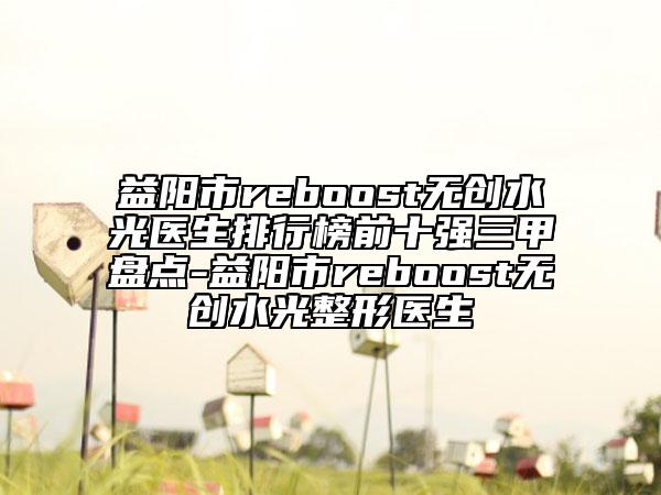 益阳市reboost无创水光医生排行榜前十强三甲盘点-益阳市reboost无创水光整形医生