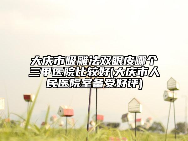 大庆市吸雕法双眼皮哪个三甲医院比较好(大庆市人民医院室备受好评)