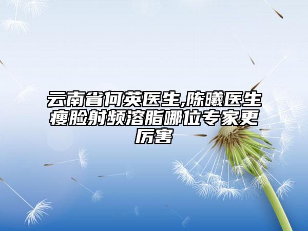 云南省何英医生,陈曦医生瘦脸射频溶脂哪位专家更厉害
