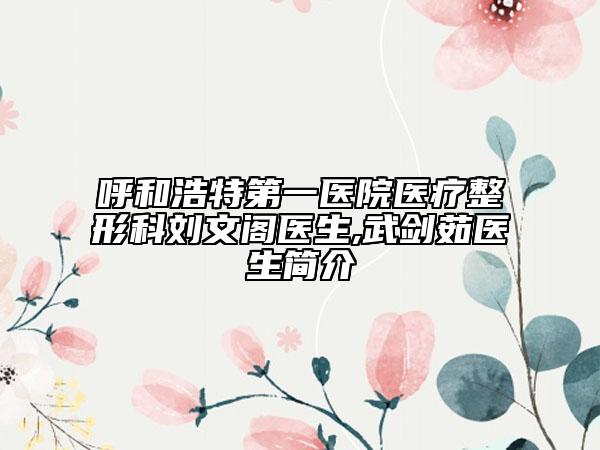 呼和浩特第一医院医疗整形科刘文阁医生,武剑茹医生简介