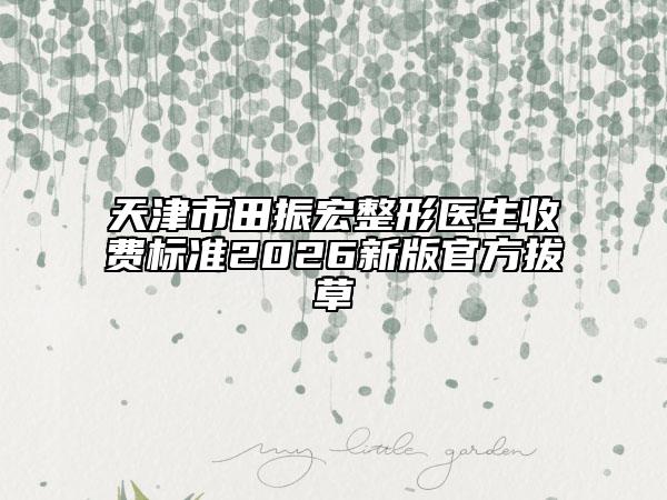 天津市田振宏整形医生收费标准2026新版官方拔草
