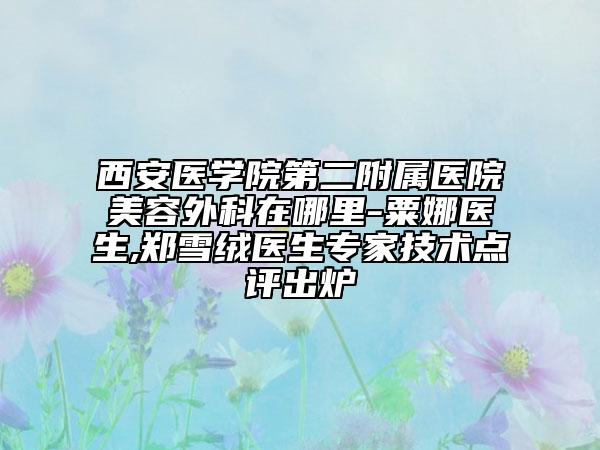 西安医学院第二附属医院美容外科在哪里-粟娜医生,郑雪绒医生专家技术点评出炉