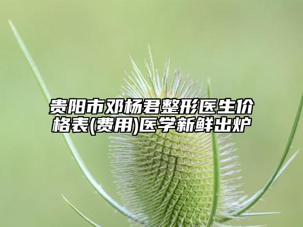 贵阳市邓杨君整形医生价格表(费用)医学新鲜出炉