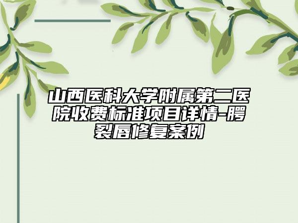 山西医科大学附属第二医院收费标准项目详情-腭裂唇修复案例