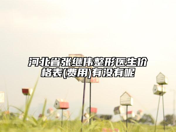 河北省张继伟整形医生价格表(费用)有没有呢