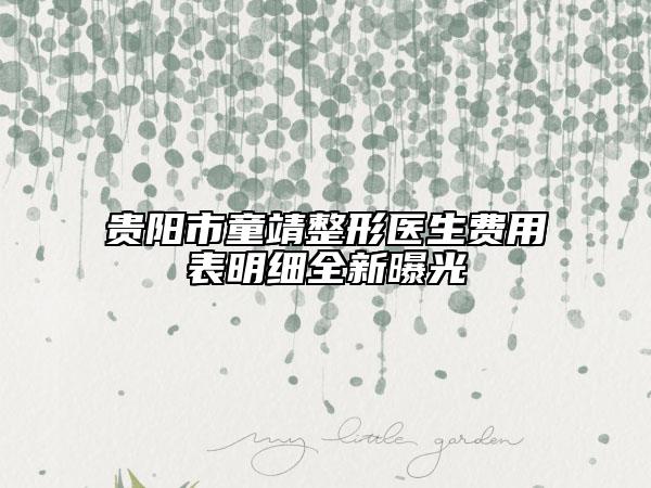 贵阳市童靖整形医生费用表明细全新曝光