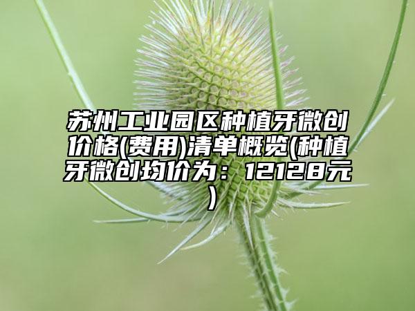 苏州工业园区种植牙微创价格(费用)清单概览(种植牙微创均价为：12128元）