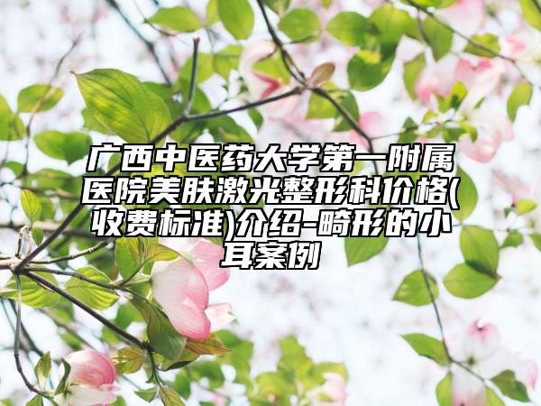 广西中医药大学第一附属医院美肤激光整形科价格(收费标准)介绍-畸形的小耳案例