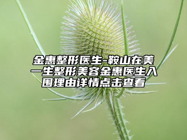 金惠整形医生-鞍山在美一生整形美容金惠医生入围理由详情点击查看