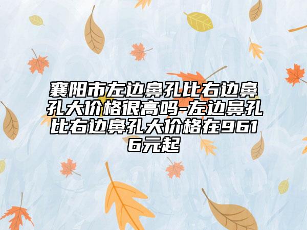襄阳市左边鼻孔比右边鼻孔大价格很高吗-左边鼻孔比右边鼻孔大价格在9616元起