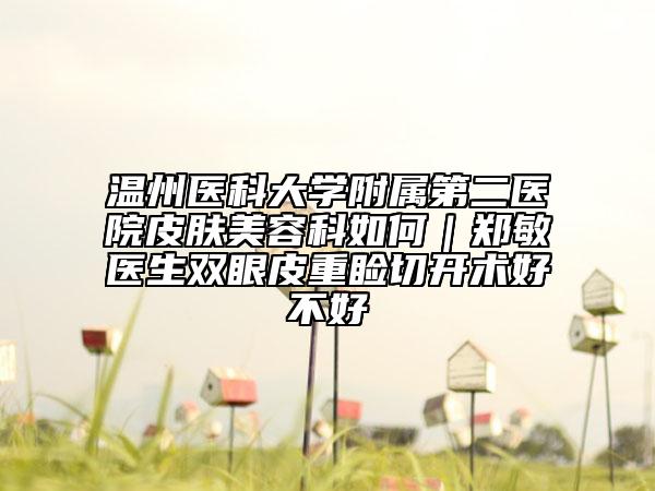 温州医科大学附属第二医院皮肤美容科如何｜郑敏医生双眼皮重睑切开术好不好