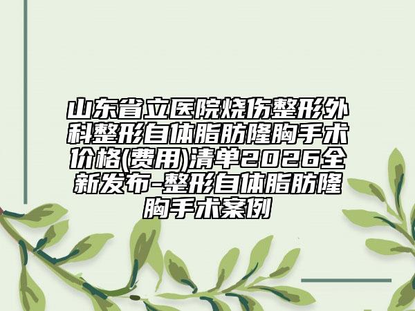 山东省立医院烧伤整形外科整形自体脂肪隆胸手术价格(费用)清单2026全新发布-整形自体脂肪隆胸手术案例