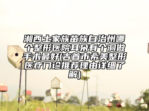 湘西土家族苗族自治州哪个整形医院耳朵有个洞做手术最好(吉首市希美整形医疗门诊推荐理由详细了解)