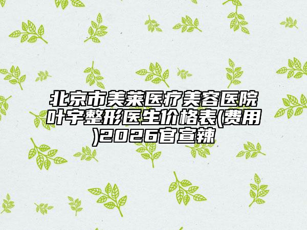 北京市美莱医疗美容医院叶宇整形医生价格表(费用)2026官宣辣