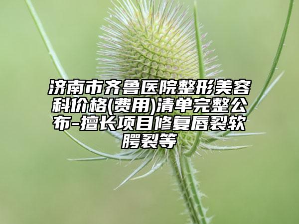 济南市齐鲁医院整形美容科价格(费用)清单完整公布-擅长项目修复唇裂软腭裂等