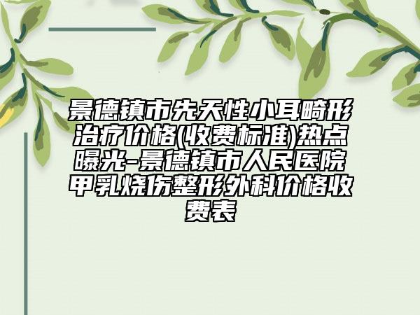 景德镇市先天性小耳畸形治疗价格(收费标准)热点曝光-景德镇市人民医院甲乳烧伤整形外科价格收费表