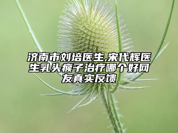 济南市刘培医生,宋代辉医生乳头瘊子治疗哪个好网友真实反馈