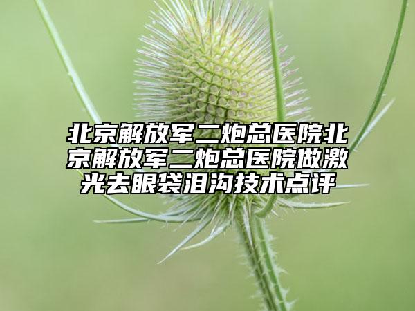北京解放军二炮总医院北京解放军二炮总医院做激光去眼袋泪沟技术点评