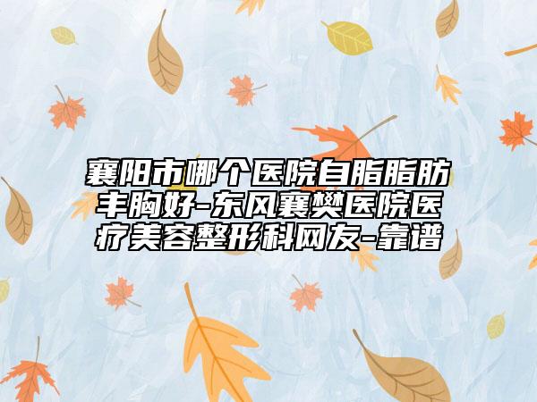 襄阳市哪个医院自脂脂肪丰胸好-东风襄樊医院医疗美容整形科网友-靠谱