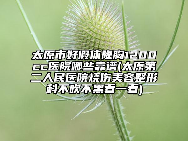 太原市好假体隆胸1200cc医院哪些靠谱(太原第二人民医院烧伤美容整形科不吹不黑看一看)