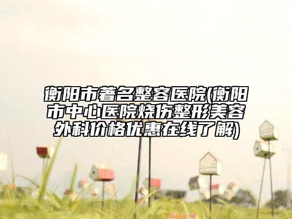 衡阳市著名整容医院(衡阳市中心医院烧伤整形美容外科价格优惠在线了解)