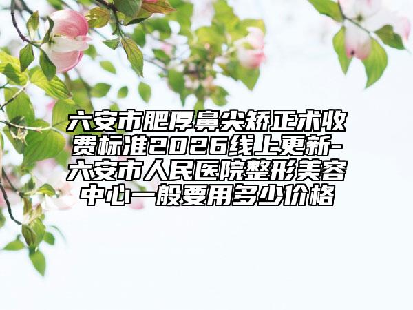 六安市肥厚鼻尖矫正术收费标准2026线上更新-六安市人民医院整形美容中心一般要用多少价格