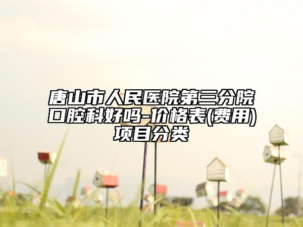 唐山市人民医院第三分院口腔科好吗-价格表(费用)项目分类