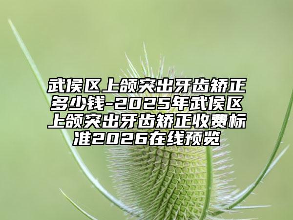 武侯区上颌突出牙齿矫正多少钱-2025年武侯区上颌突出牙齿矫正收费标准2026在线预览