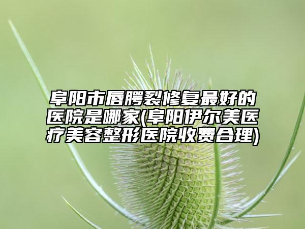 阜阳市唇腭裂修复最好的医院是哪家(阜阳伊尔美医疗美容整形医院收费合理)