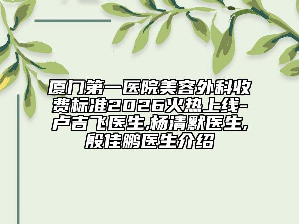 厦门第一医院美容外科收费标准2026火热上线-卢吉飞医生,杨清默医生,殷佳鹏医生介绍