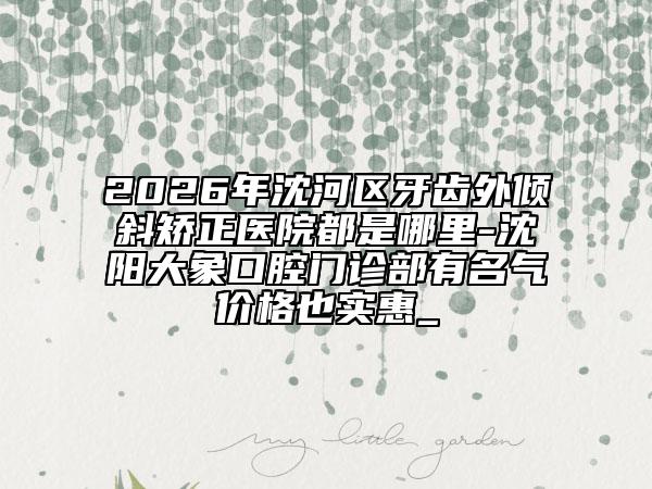 2026年沈河区牙齿外倾斜矫正医院都是哪里-沈阳大象口腔门诊部有名气价格也实惠_