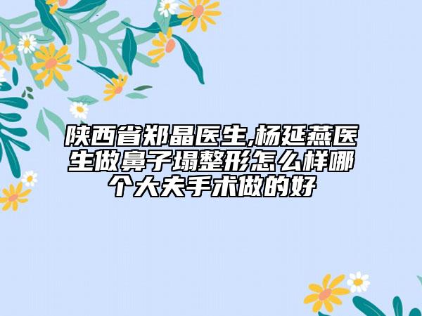 陕西省郑晶医生,杨延燕医生做鼻子塌整形怎么样哪个大夫手术做的好