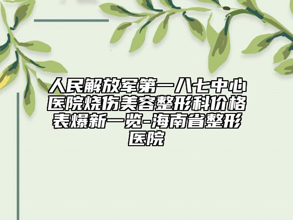 人民解放军第一八七中心医院烧伤美容整形科价格表爆新一览-海南省整形医院